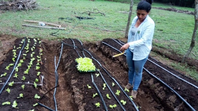 estudiante_paola_porras_cultivando_lechuga_