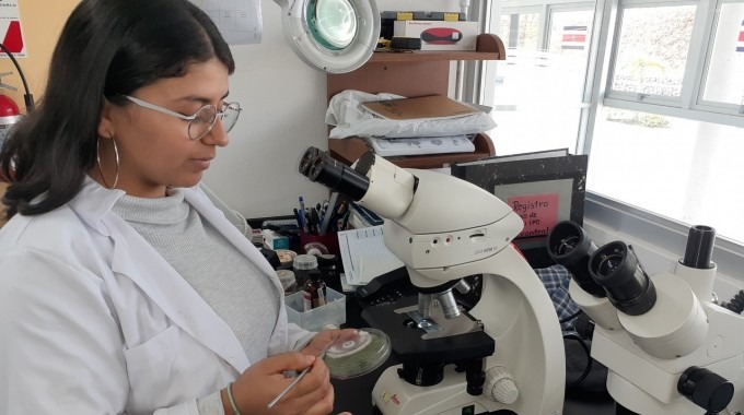 estudiante_trabajando_con_microscopio_