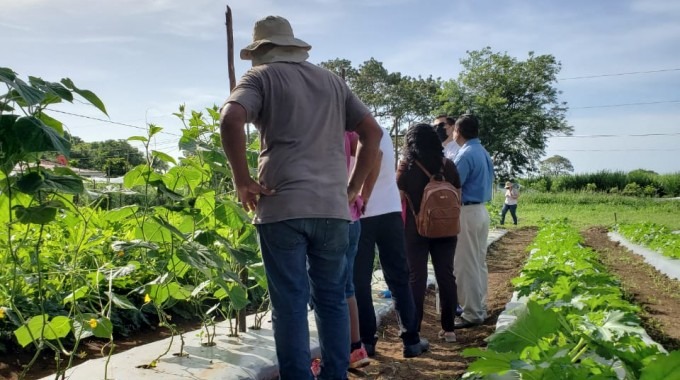 Agricultores en el campo.