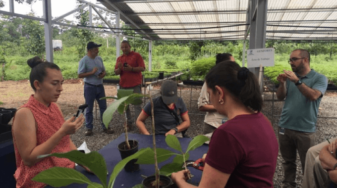 imagen de varias personas estudiando la genética de las plantas