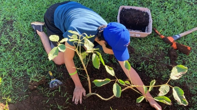 Imagen de una persona sembrando una planta