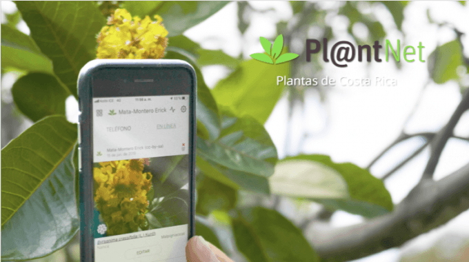 aplicacion plantnet