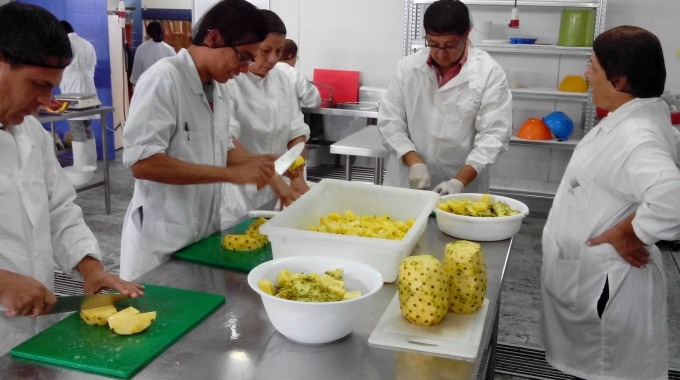 taller_procesamiento_frutas