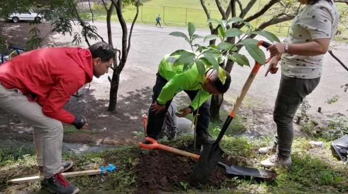 Tres personas sembrando un árbol en una ladera del Parque Polideportivo Aranjuez