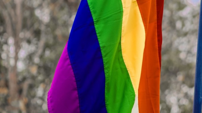 bandera de diversidad