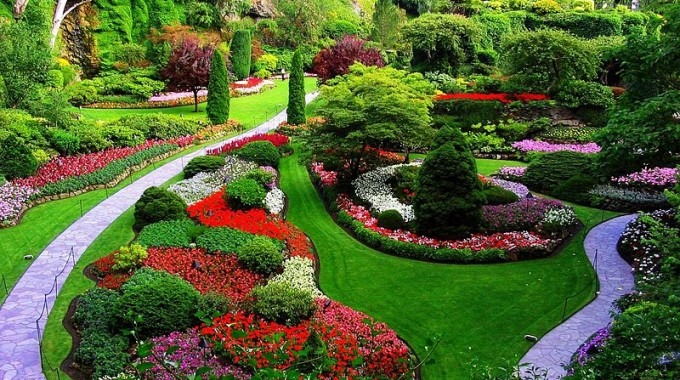 jardin de diversos colores