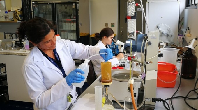 Imagen de dos estudiantes realizando un análisis químico.