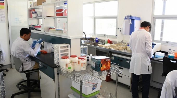 Estudiantes utilizando equipo en laboratorio de biotecnología.