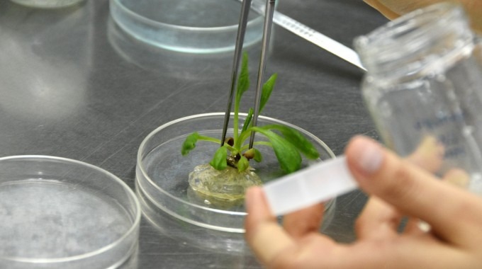 detalle de persona trabaja en laboratorio 