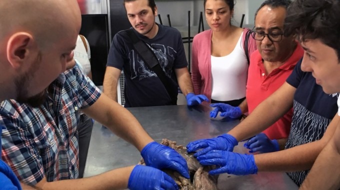 Estudiantes alrededor de una mesa observando unos pulmones. 