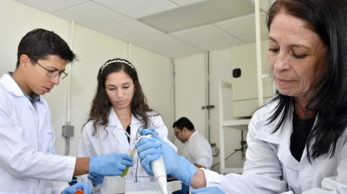 Tres investigadores realizan pruebas en microalgas. 
