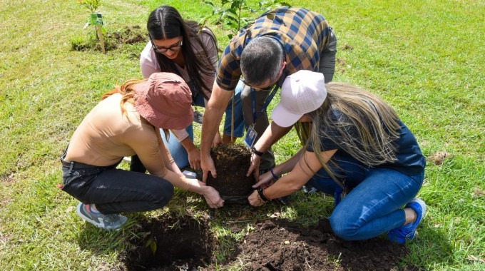 Imagen de varias  personas plantando árboles en el TEC