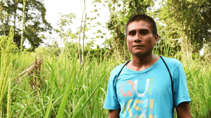 Ballarino Oniel, indígena bribri de Shuabb de Talamanca, muestra su sembradío de arroz orgánico. Ese campo fue cosechado en la tercera semana de setiembre. (Foto: Ruth Garita/OCM).