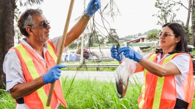 Personas investigadoras realizan pruebas en las plantas