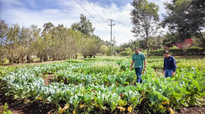 Imagen de dos personas en un cultivo.
