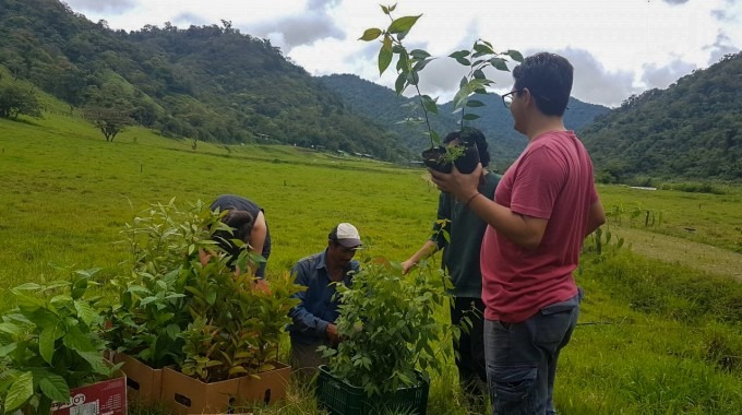 Imagen de cuatro personas plantando árboles
