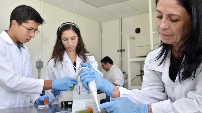 imvestigadores en laboratorio realizando pruebas