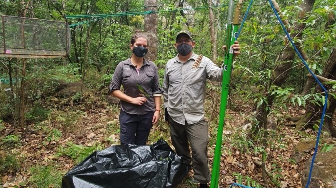 Dos personas en el bosque, recolectando muestras para hacer una investigación.