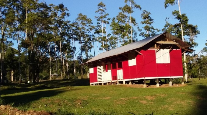 Vivienda de madera en el campo.