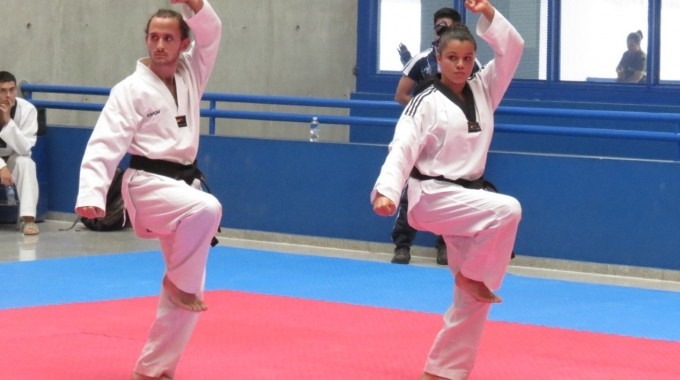 taekwondo tec