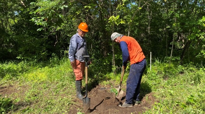 imagen de dos hombres sembrando un árbol  
