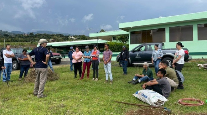 Imagen de varias personas en los cultivos de papa del productor