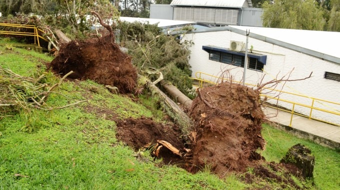 arboles_caidos_por_tornado_