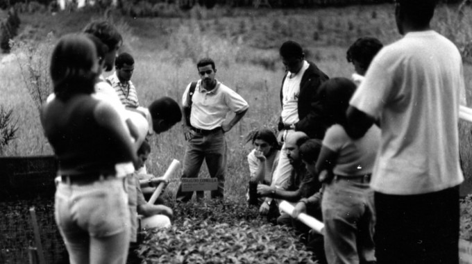 Personas presenciando una charla alrededor de una plantación forestal. 