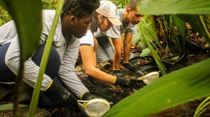 Personas trabajando en el campo.