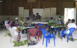 Repasando muestras botánicas de especies arbóreas de la comunidad El Progreso.