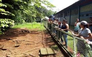 En el TEC de San Carlos el público puede visitar la zona donde están los cocodrilos y aprender sobre los mismos. (Foto cortesía Olivier Castro)