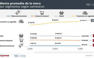 Gráfico monto promedio de la mora