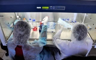 En la fotografía se muestran dos científicos del TEC trabajando en un laboratorio. 
