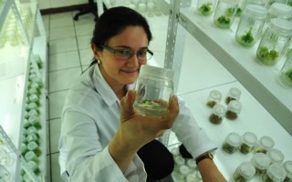 Una científica muestra una planta in vitro.