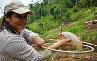 Una mujer sostiene una tilapia que acaba de sacar del agua