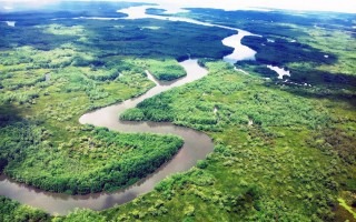 Vista aérea del humedal.