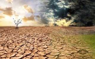 En la imagen se muestra una gran sequía, como parte de las acciones que podría dejar el cambio climático 