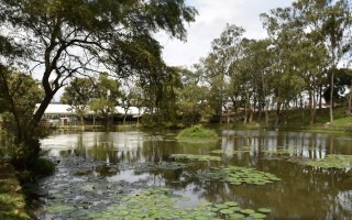 lago del campus central del tec en cartago