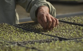 Imagen de una mano en una plantación