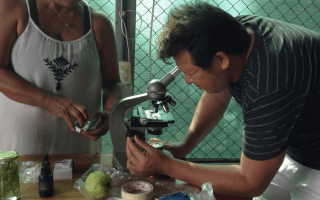 Productores analizan una muestra en un microscopio. 