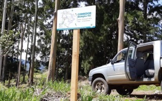 bosque-con-letrero-del-corredor-biologico-