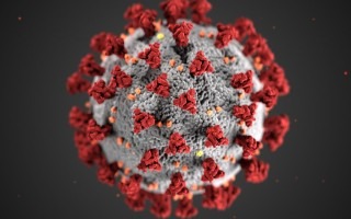 Modelación de una partícula de Coronavirus.