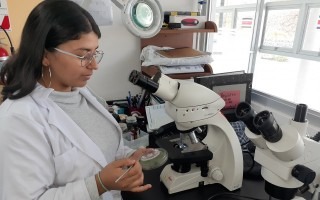 estudiante_trabajando_con_microscopio_