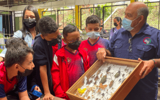 Profesor muestra una maqueta con distintos insectos.