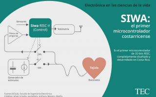 infografía siwa