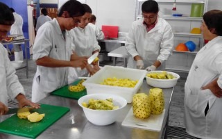 taller_procesamiento_frutas