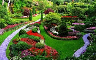 jardin de diversos colores