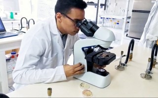 La imagen muestra a José Pablo en el laboratorio viendo a través del microscopio. 