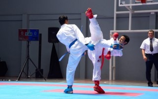 peleadores de karate