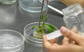 detalle de persona trabaja en laboratorio 